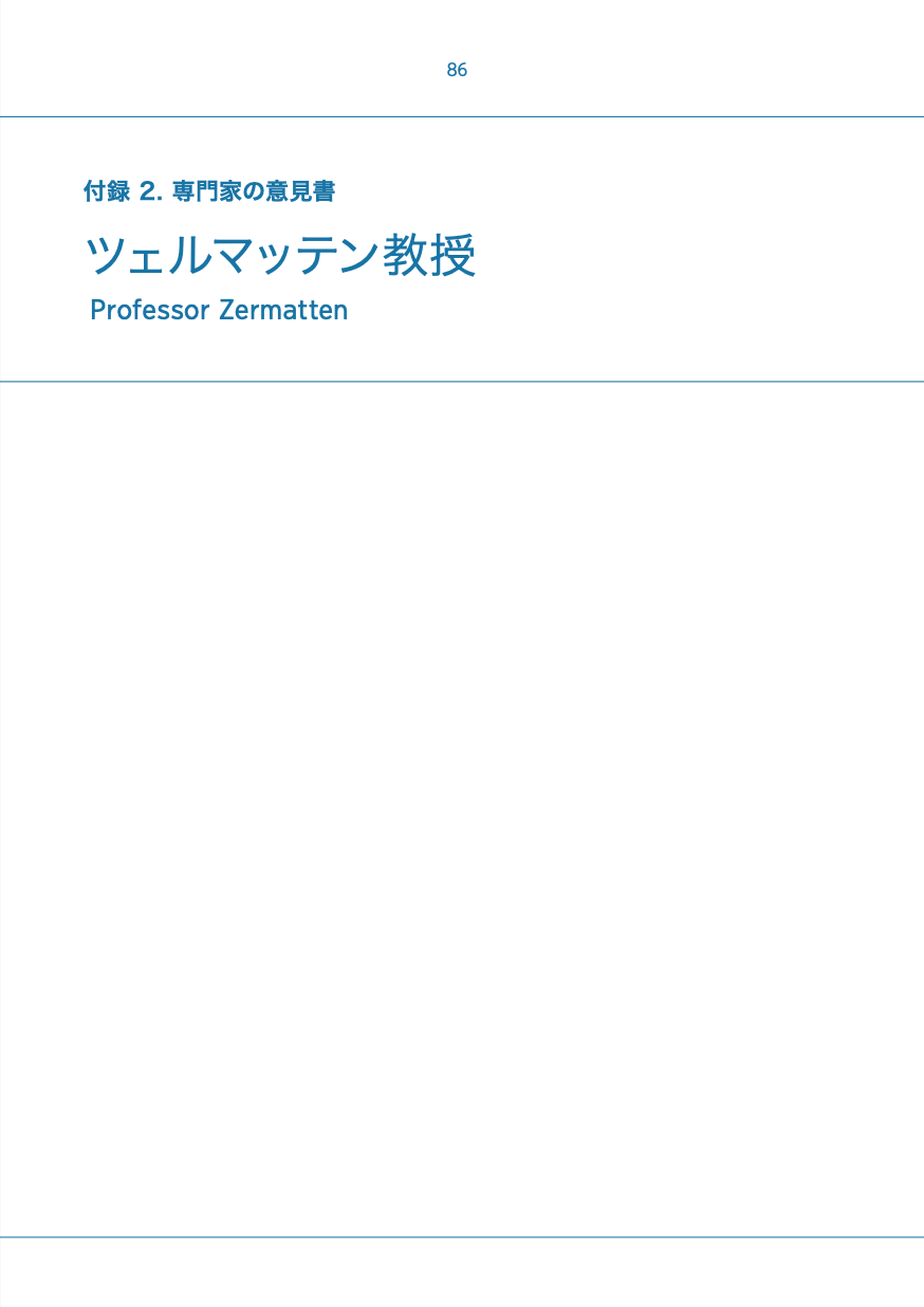 付録 2. ツェルマッテン教授の専門家の意見